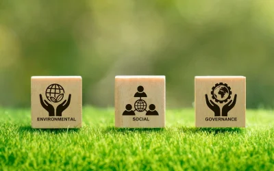Environmental, Social, and Governance (ESG) Compliance Masterclass