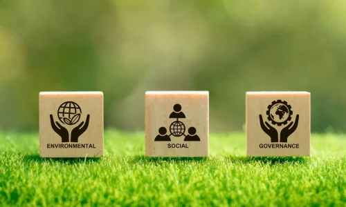 Environmental, Social, and Governance (ESG) Compliance Masterclass